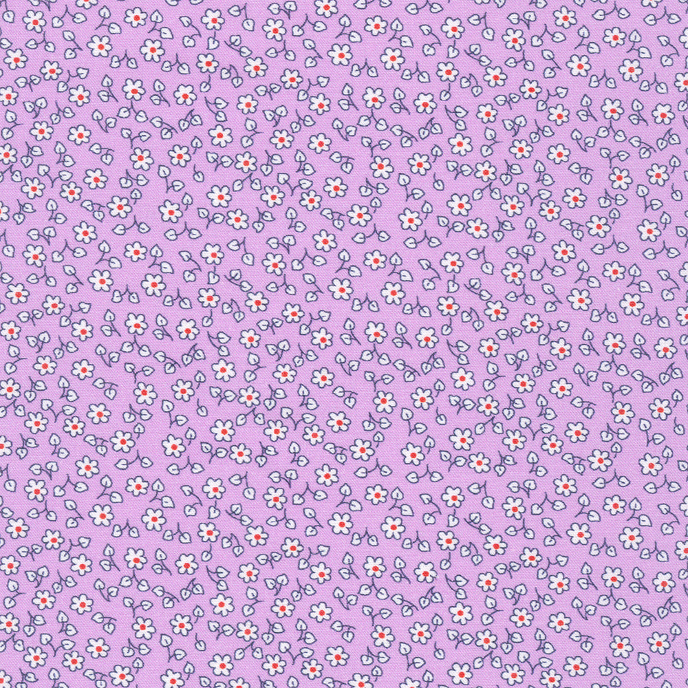 Flowerhouse: Little Blossoms Pansy FLHD-21888-220