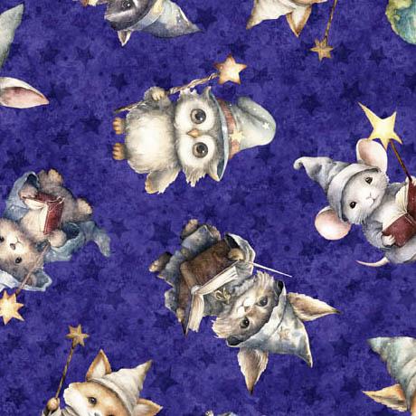 Lil' Wizards Wizard Toss Purple 30551-V