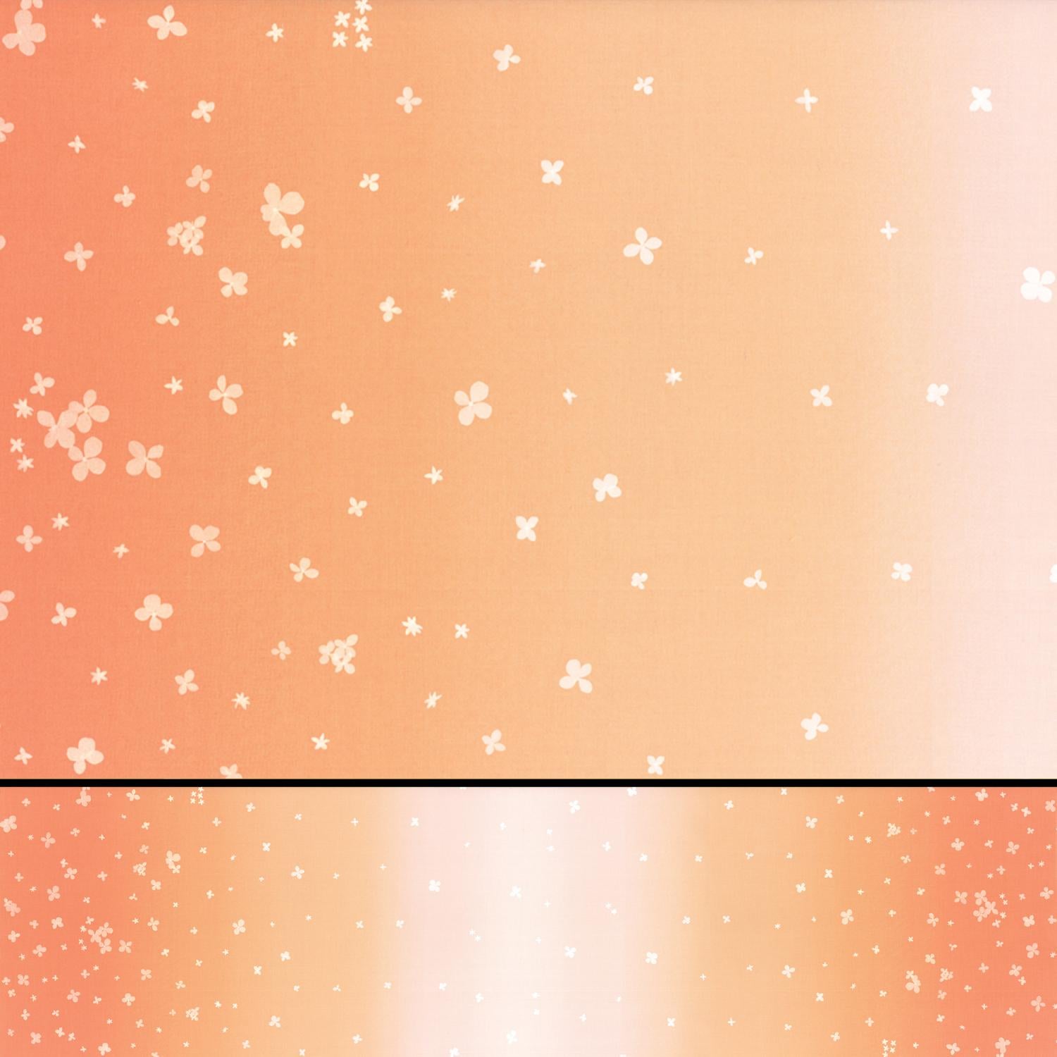 Ombre Bloom Coral 10870 221