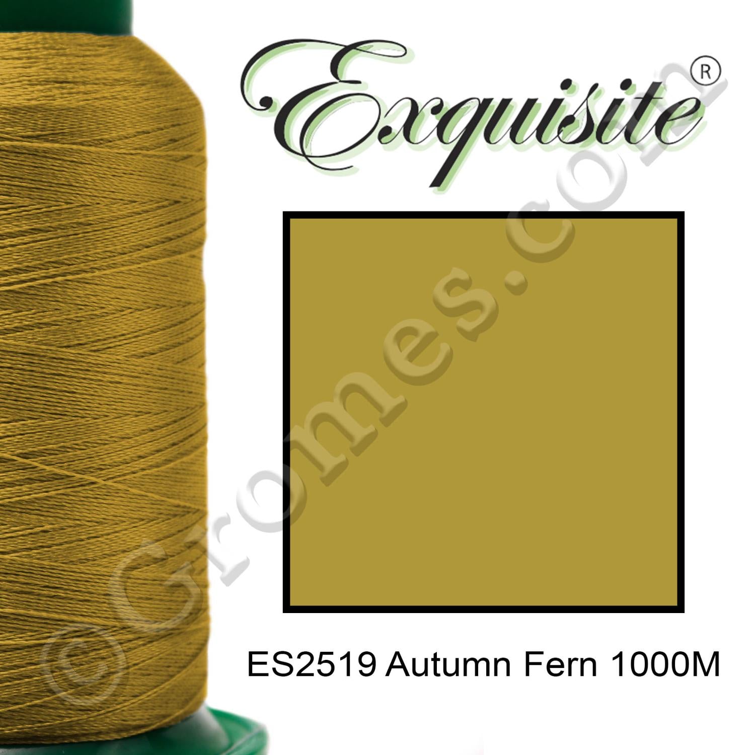 2519 AUTUMN FERN 1000M