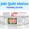 Juki Miyabi J-350 Longarm Quilt Motion Training Event