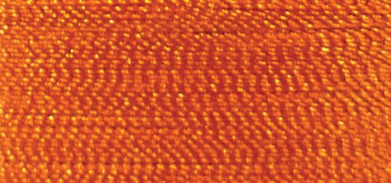 EMBELLISH CARROT