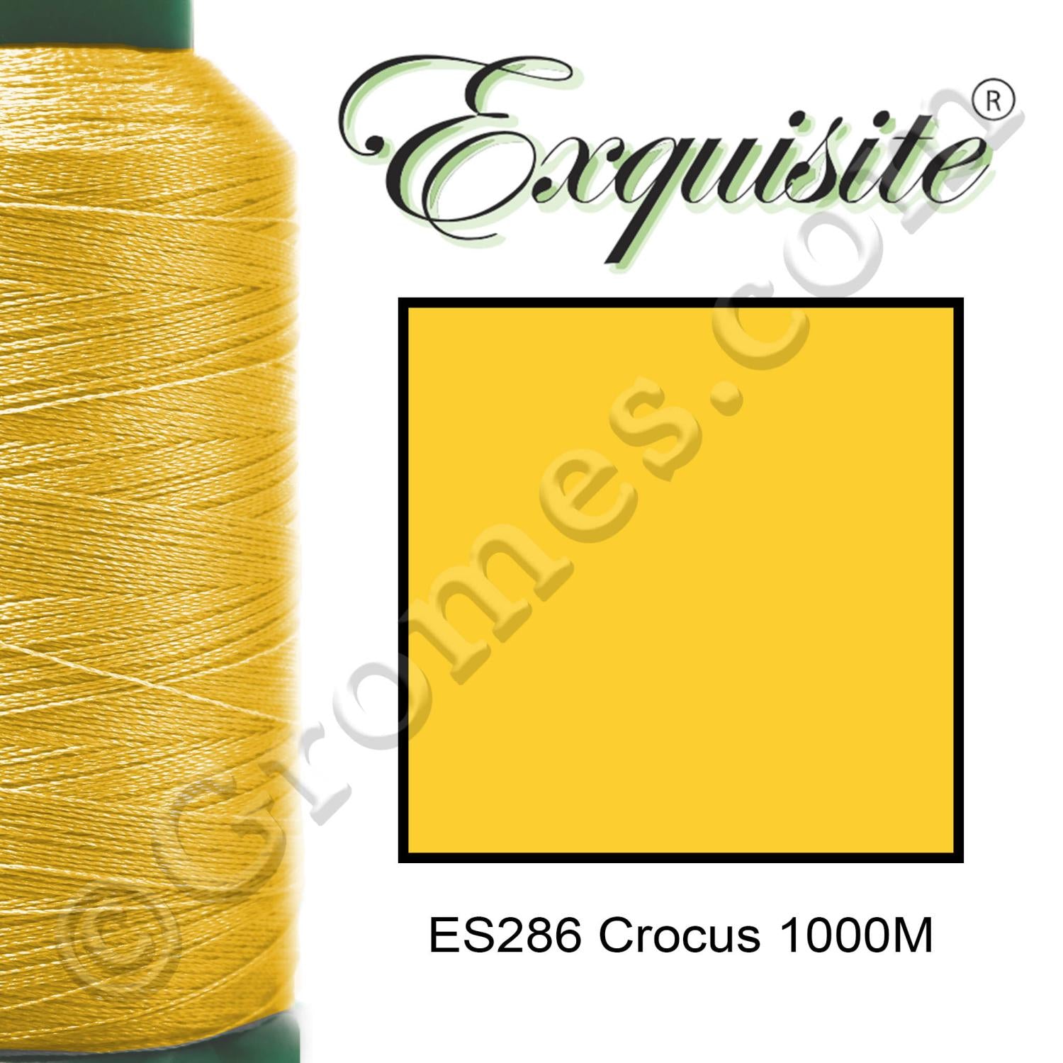 286 CROCUS 1000M